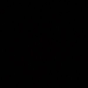 Meet your Posher, Ruby